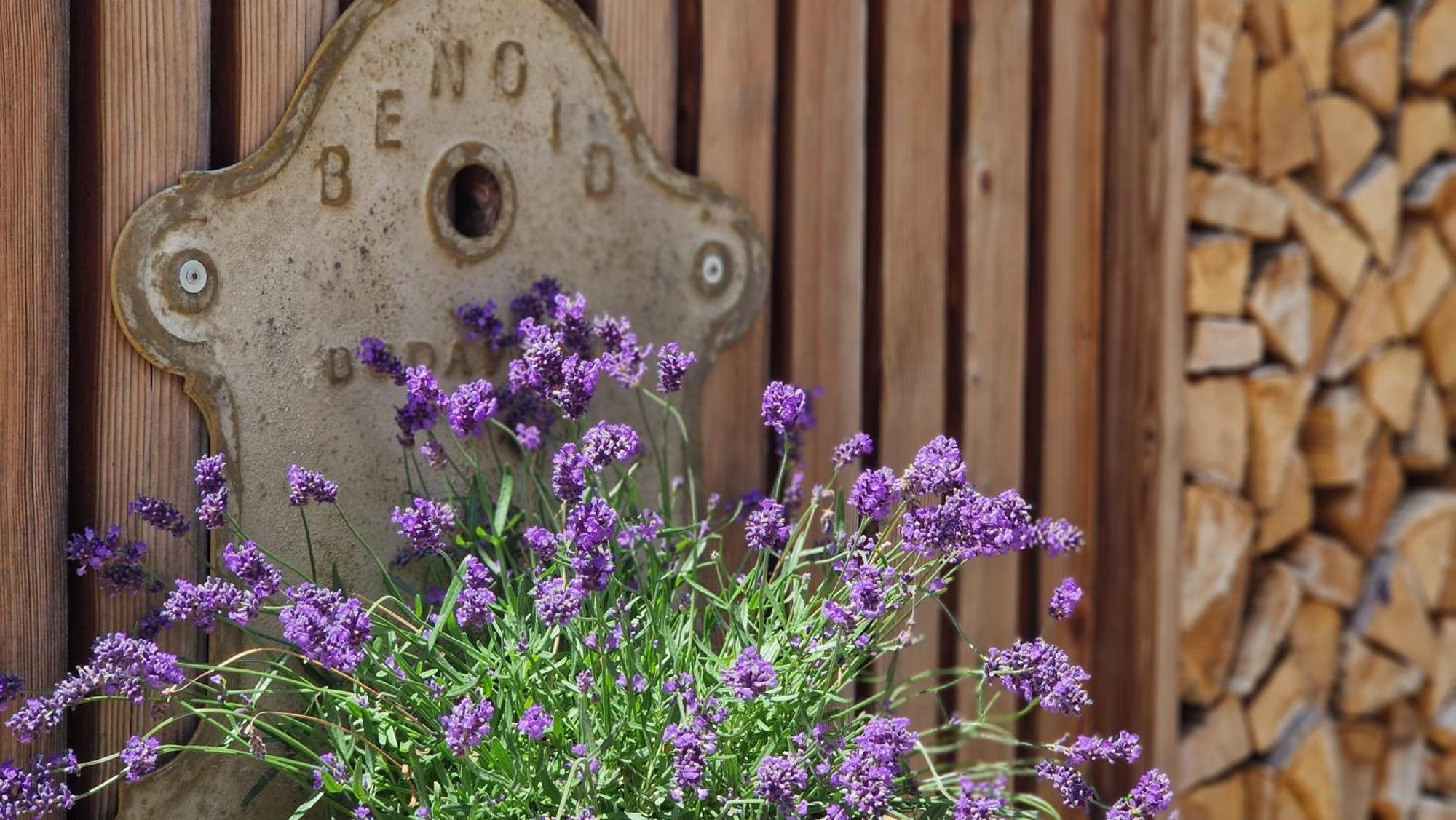 Nostalgie Bed & Breakfast Chraemerhus Curaglia Esterno foto